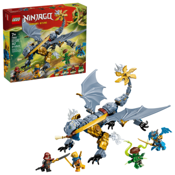 LEGO® Ninjago® 71855 Showdown mit dem Ninja-Drachen Riyu