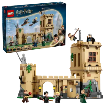 LEGO® Harry Potter™ 76447 Schloss Hogwarts™: Flugstunden